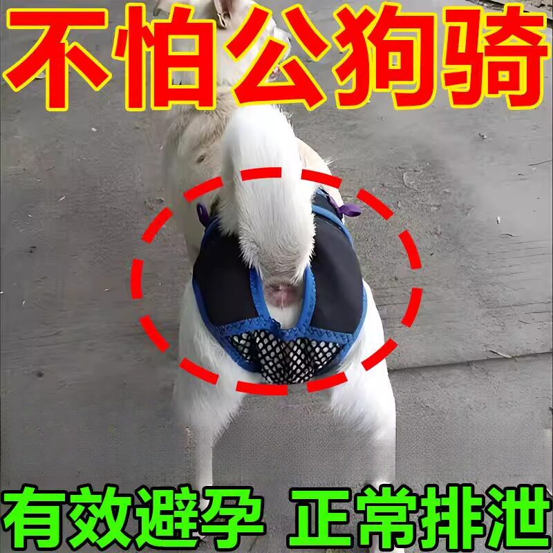 狗狗避孕裤可排泄裤防狗发情骚扰裤防交配裤生理裤母狗防交配神器