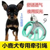 小鹿犬专用1斤牵引绳吉娃娃透气结实背心式 狗绳小型犬狗狗用品幼