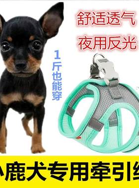 小鹿犬专用1斤牵引绳吉娃娃透气
