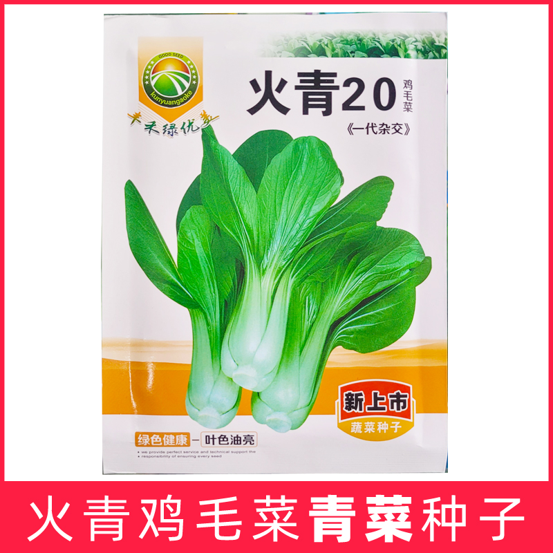 火青20天鸡毛菜青梗菜烤青种子小青菜上海青蔬菜种籽大全四季农家