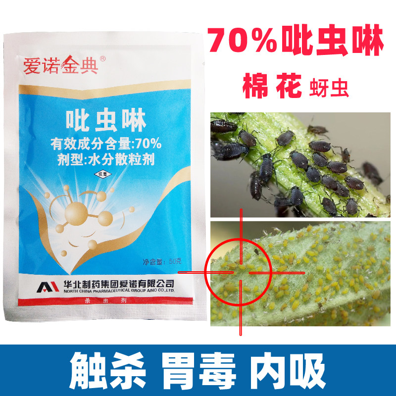 李子树石榴玫瑰花除杀蚜虫农药