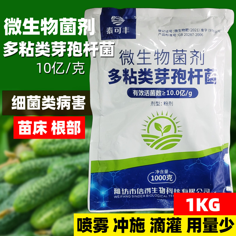 多粘类芽孢杆菌微生物菌剂番茄防青枯萎根腐软腐土传病害农用菌肥