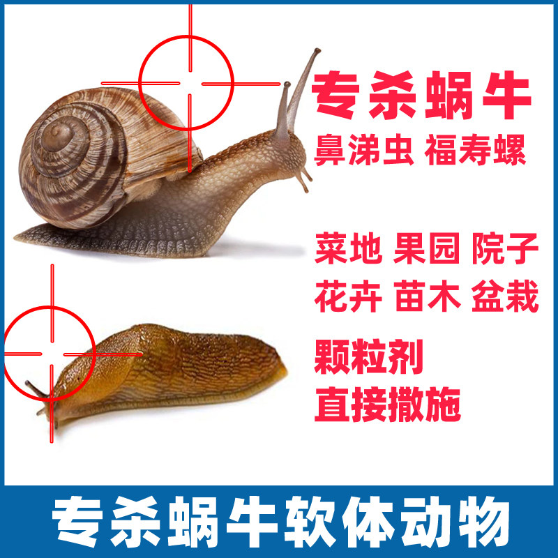 蜗牛鼻涕虫专用药四聚乙醛