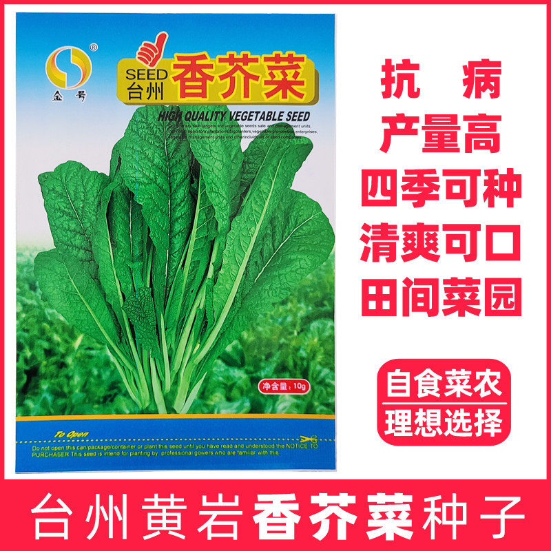 台州黄岩小香芥介菜蔬菜种孑四季田间菜园阳台高产青梗菜易种籽子