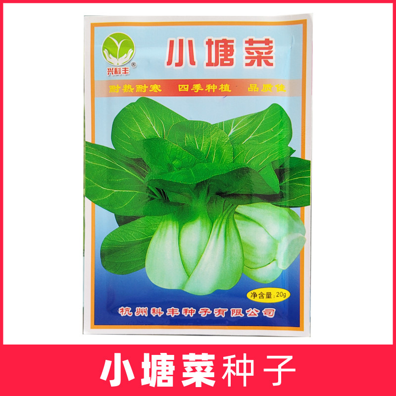 小塘菜唐青菜种子耐热青梗菜小白菜种籽四季春夏盆栽蔬菜大全浙江