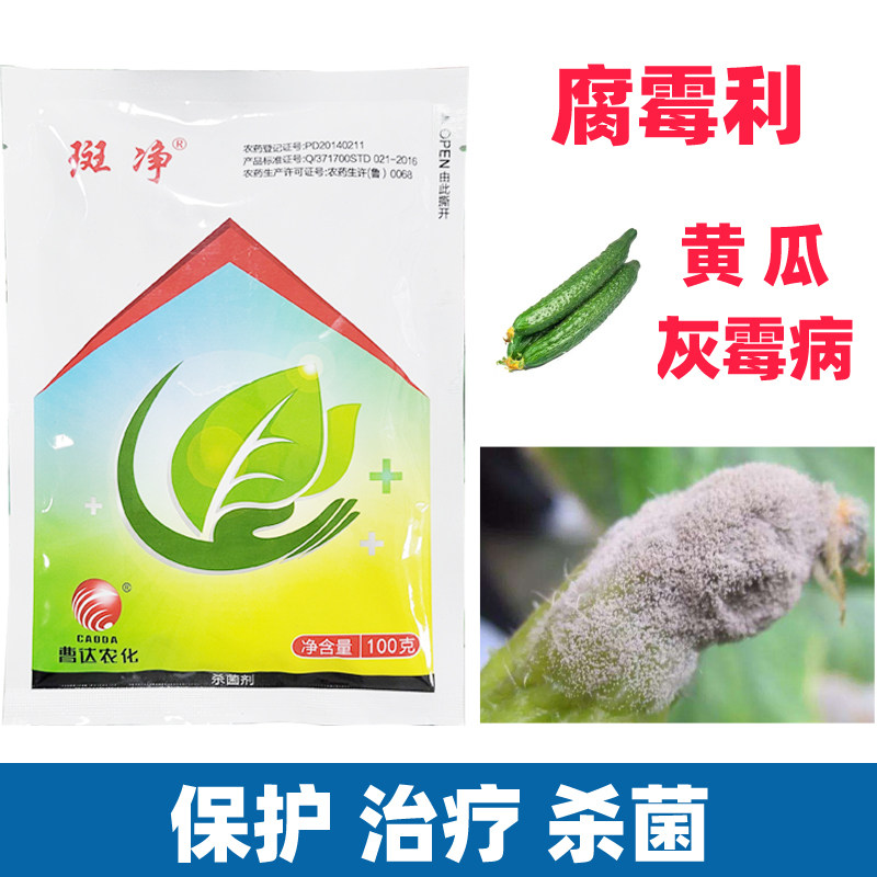 斑净腐50%霉利黄瓜灰霉病发霉长毛丝专用蔬菜植物农药杀菌剂大全