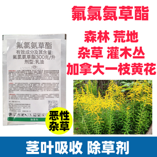 氟氯氨草酯森林非耕荒地地加拿大一枝黄花灌木丛恶性杂草除草剂