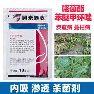 阿米妙收嘧菌酯苯醚甲环唑大蒜姜柑橘瓜锈病炭疽病农药杀菌剂大全