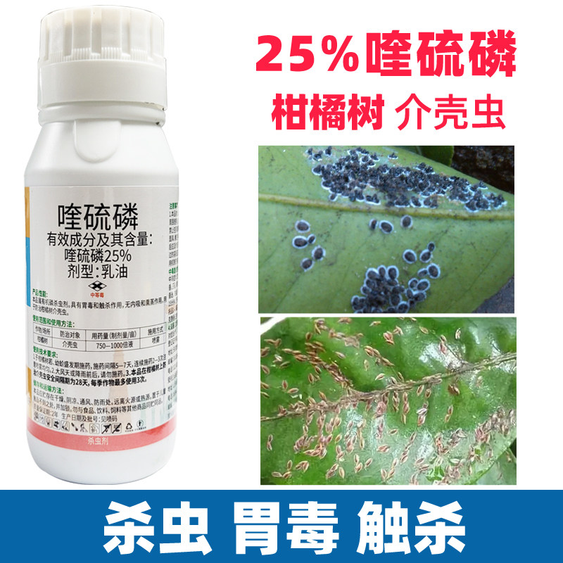 喹硫磷杀虫剂植物农药大全专用蚧壳虫柑橘果树介壳虫农用正品钻心