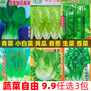 蔬菜大全阳台懒人种盆栽小青菜葱香菜白菜黄瓜生菜种子孑籽四季