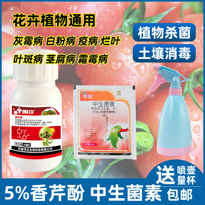 月季多肉农药植物白粉病
