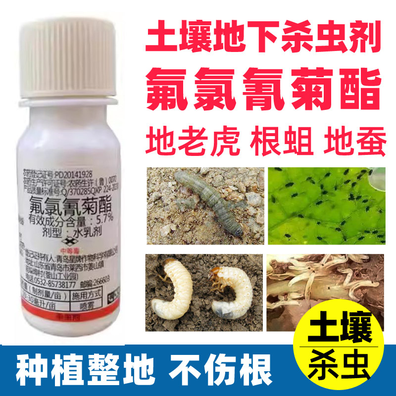 高效氰氯菊脂氟植物杀虫剂花卉除虫剂蔬菜农药大全打虫药植物地下