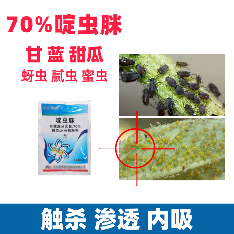 70%啶虫脒甘蓝蔬菜蚜虫杀虫剂