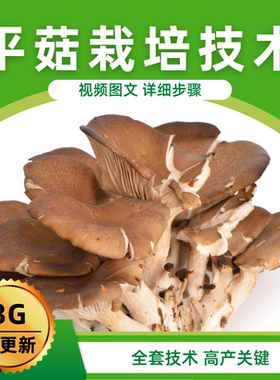 平菇高产栽培技术凤尾人工大棚高效种植资料蘑菇食用菌病虫害防治