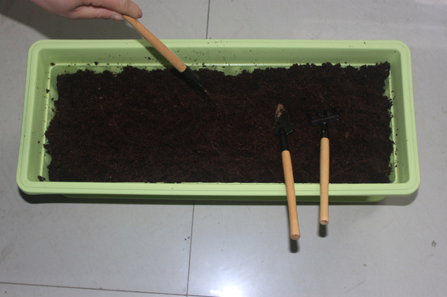 Coir Botany Permeability gardening Coconut Brick Nutrient currency Coco peat bricks Potted plant Coconut powder brick Planting soil soilin the Flower delivery/Flowers simulation/Plants gardening , Gardening supplies , Gardening Fertilizer/Nutrient/Nutrient solution  category - from Buy2taobao.com to provide professional Taobao agent buy service