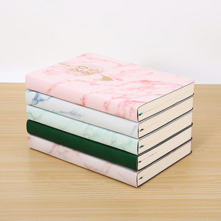 2025年蛇年一日一页日程本笔记本子计划本日历时间管理商务办公效率手册日记本记事本企业商务定制logo365天