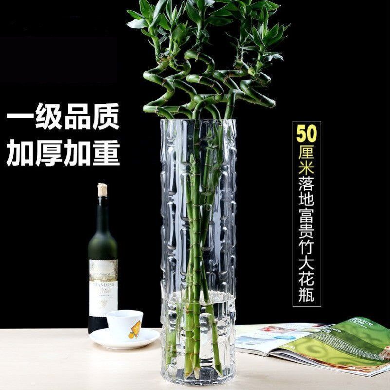 透明玻璃瓶落地加厚富贵竹水培花瓶大口径客厅摆件插花装饰直筒瓶