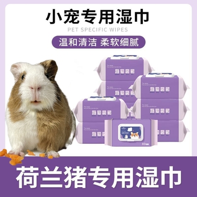 荷兰猪清洁湿巾仓鼠豚鼠小宠专用擦面部脚擦身子消毒纸巾免洗用品
