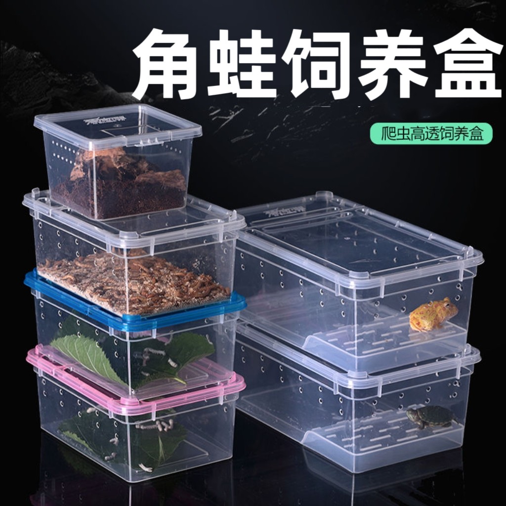 角蛙饲养盒爬宠两栖箱小乌龟缸守宫盒带晒台塑料乌龟盒角蛙饲养箱
