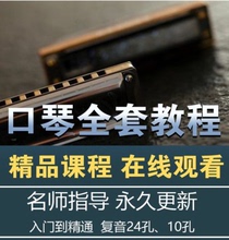 2023口琴自学视频培训教程 10孔布鲁斯24孔 半音阶教学零基础入门