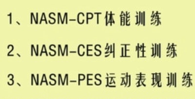 健身国际四大认证NSCA ACSM ACE NASM-CPT私人教练培训课程教程视