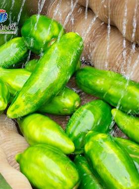 木剥皮皮 去红薯机薯土NVS豆专业去皮设备 田螺石螺清洗机