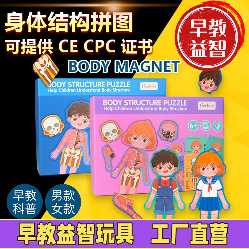 人体模型器官拼装玩具幼儿园大班科学区区域材料中班小班益智教具
