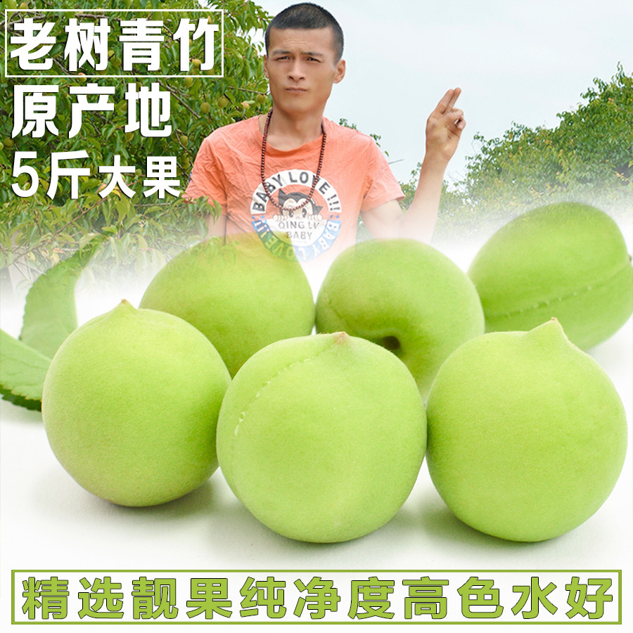 普宁高埔青梅5斤装精选大果泡酒做梅子露酵素非福建诏安青竹梅果