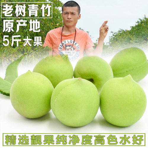 普宁高埔青梅5斤装精选大果泡酒做梅子露酵素非福建诏安青竹梅果