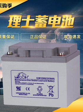 LEOCH理士免维护铅酸蓄电池DJM1238S12V38AH太阳能通信基站EPS