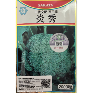 优质杂交炎秀西兰花种子耐热高产西蓝花菜花春秋季蔬菜种孑苗秧