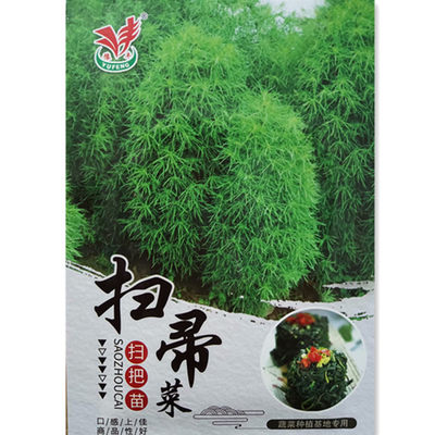 蔬菜扫把地肤药食两用四季种子