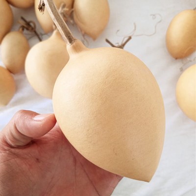 特色观赏文玩葫芦种子寿桃鸡心亚腰鹤首蚂蚁特大小葫芦籽种苗秧孑