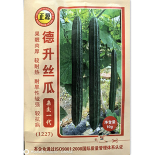 杂交高抗丝瓜种子早熟角瓜种籽农家高产蔬菜棱丝瓜孑苗阳台盆栽