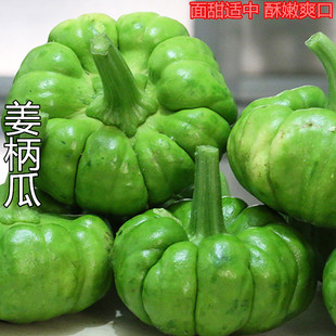 姜柄瓜南瓜种子 甜面南瓜种籽 云南特菜特产基地四季大田蔬菜种孑