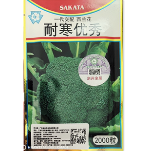 耐寒优秀西兰花种子耐寒青菜种籽春秋四季阳台盆栽蔬菜种孑苗秧