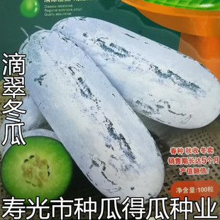 火锅冬瓜种子香冬瓜种子滴翠迷你小香冬瓜种子高产蔬菜种子