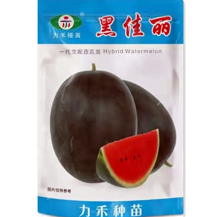 力禾黑佳丽西瓜种籽 特大黑皮8424美都麒麟瓜懒汉西瓜种子蔬菜苗