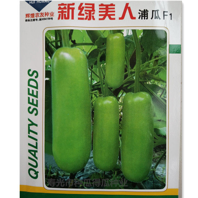 新绿美人蒲瓜种子 味甜早熟浦瓜种籽瓠子瓜蔬菜籽 高产易种质优