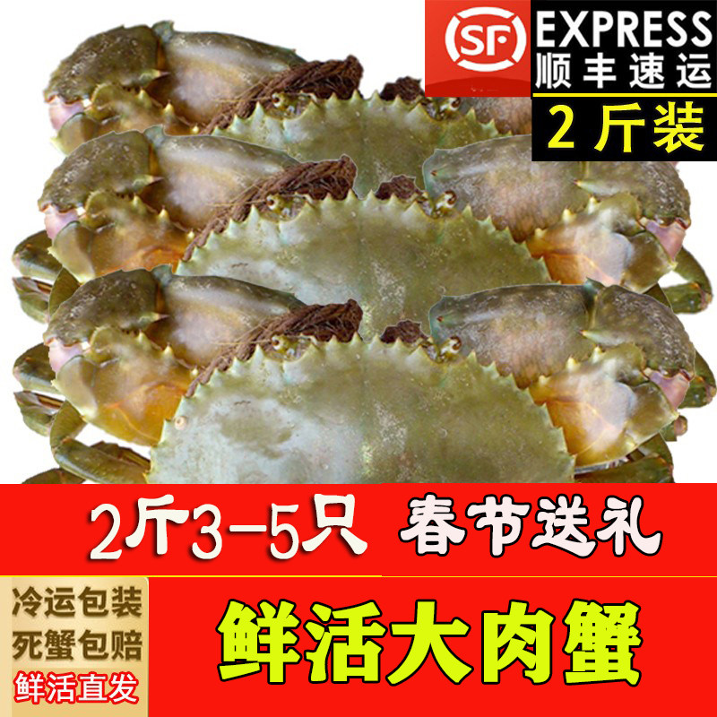（鲜活公母蟹）野生公蟹海蟹母蟹膏蟹活蟹螃蟹肉蟹（2斤超值装）