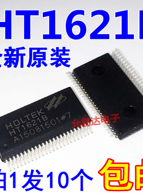 HT1621B SSOP-48  驱动IC HT1621 全新原装 大芯片D-39