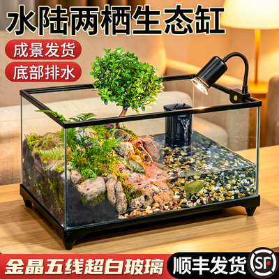 金晶玻璃乌龟缸生态造景成景套餐