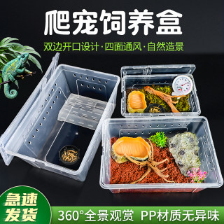 爬宠饲养盒爬宠箱蜘蛛角蛙守宫蜥蜴宠物用品蛇昆虫乌龟缸