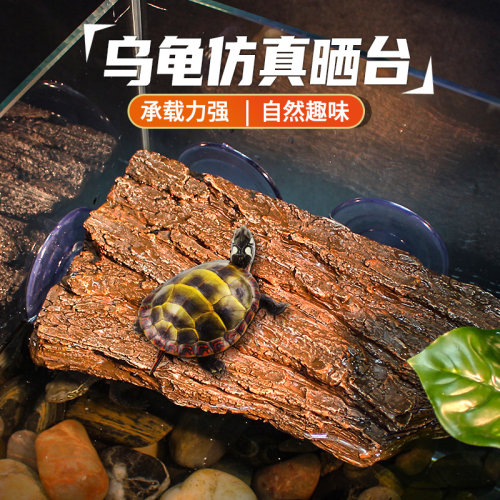 乌龟晒背台浮岛休息躲避晒背