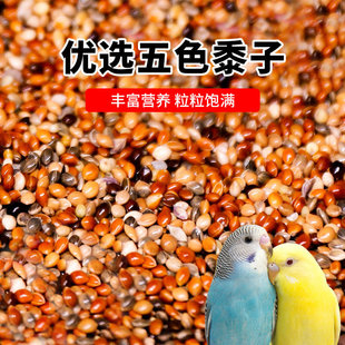 混合五色黍子鸟粮鸟食虎皮玄凤牡丹鹦鹉饲料珍珠文鸟黄谷子营养粮