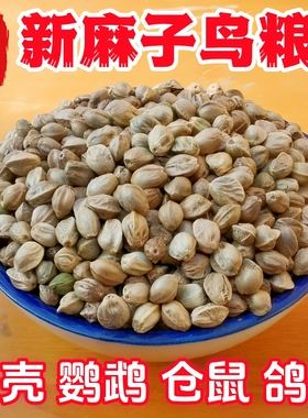 纸壳麻子鹦鹉粮和尚小太阳训练零食火麻子鸟粮饲料牡丹玄凤新麻籽