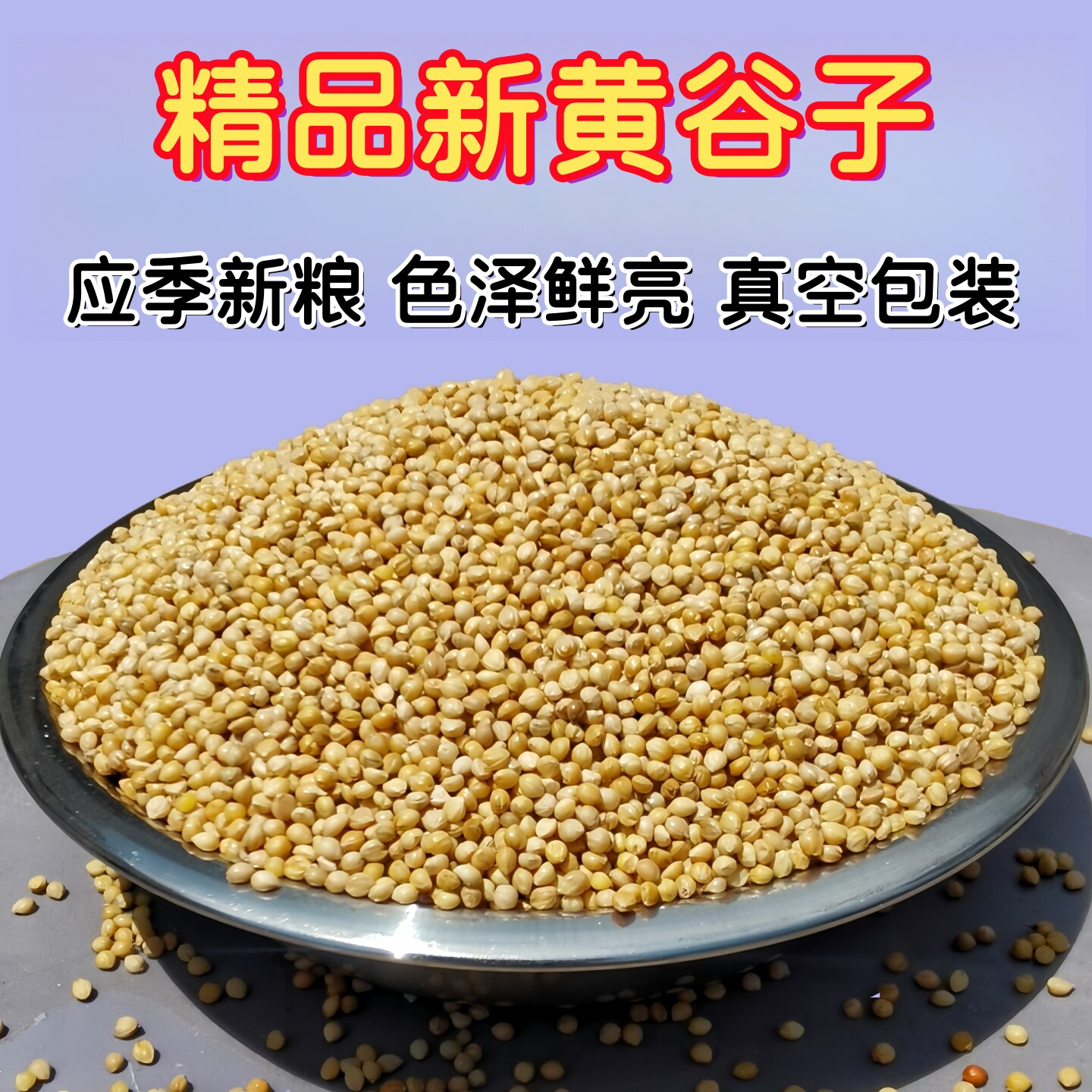 精选新鲜黄谷子中小型鹦鹉通用