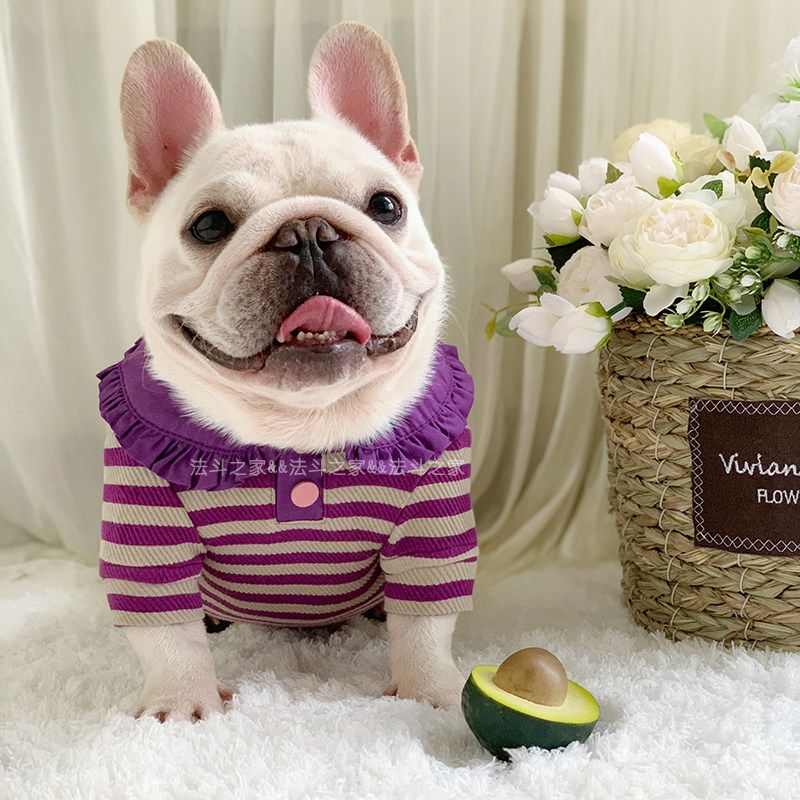 法斗衣服春季新品T恤POLO衫斗牛犬狗狗衣服短袖胖狗巴哥犬衣服棉