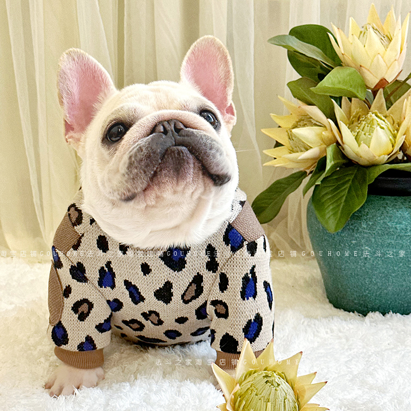 法斗衣服秋冬新品豹纹加厚卫衣弹力拼色卡通套头胖狗斗牛犬狗狗