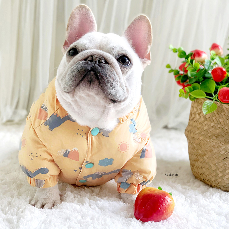 法斗之家法斗棉服冬季新品